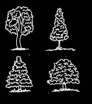 Set of trees with leaves Stock Illustration
