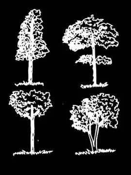 Set of trees with leaves Stock Illustration