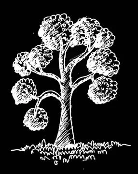 Set of trees with leaves Illustrazione stock