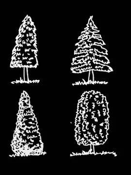 Set of trees with leaves Stock Illustration