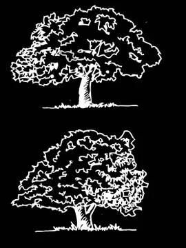 Set of trees with leaves Stock Illustration