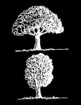 Set of trees with leaves Stock Illustration