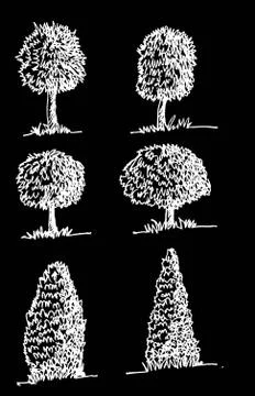 Set of trees with leaves Stock Illustration