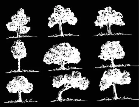 Set of trees with leaves Stock Illustration