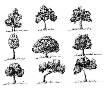 Set of trees with leaves Illustrazione stock