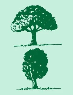 Set of trees with leaves Stock Illustration