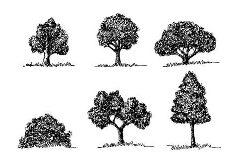 Set of trees with leaves Stock Illustration