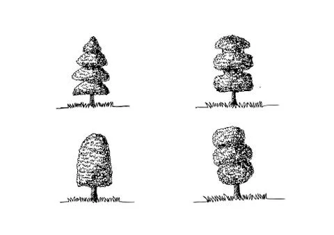 Set of trees with leaves Stock Illustration