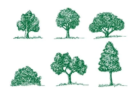 Set of trees with leaves Stock Illustration