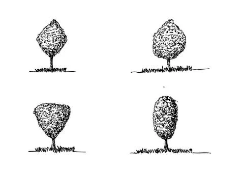 Set of trees with leaves Stock Illustration