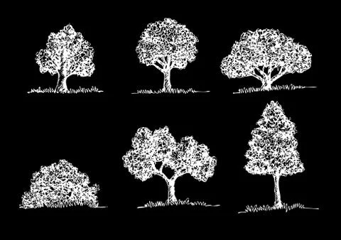 Set of trees with leaves Stock Illustration