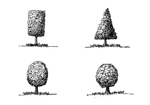 Set of trees with leaves Stock Illustration