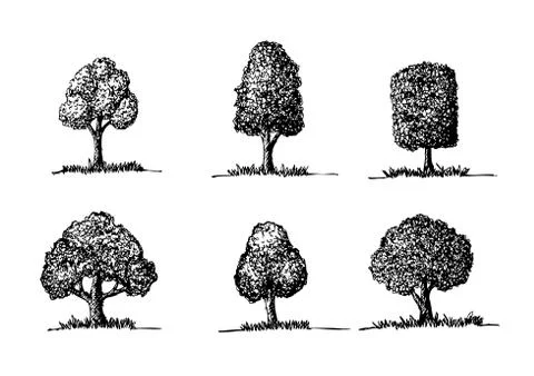 Set of trees with leaves Stock Illustration
