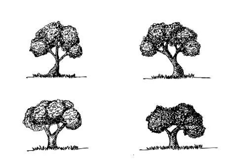 Set of trees with leaves Stock Illustration