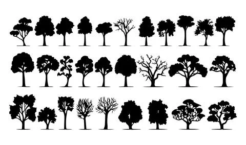 Set of trees silhouettes. Vector illustration isolated on white background. Stock Illustration
