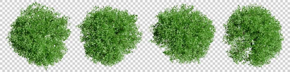 Set of trees with top view for architectural entourage and landscape plan. Stock Illustration
