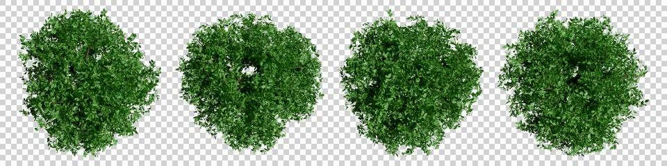 Set of trees with top view for architectural entourage and landscape plan. Stock Illustration