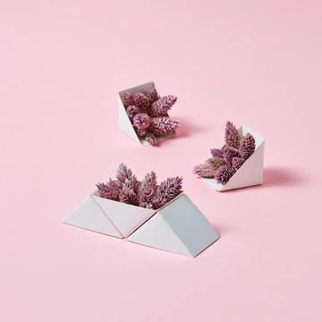 A set of triangular cardboard boxes with pine cones on a pink background wi.. Stock Photos