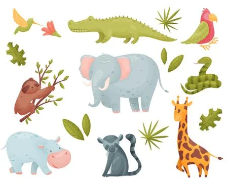 Set of tropical animals. Vector illustration on white background. Stock Illustration