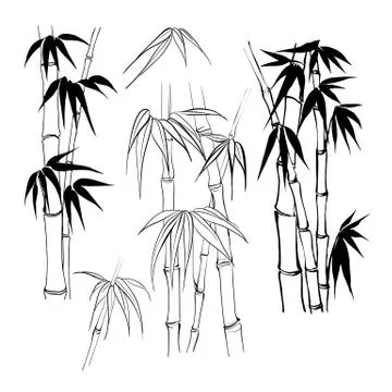 Set of tropical bamboo elements. Collection of palm leaves on a white background イラスト素材