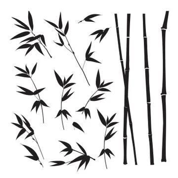 Set of tropical bamboo elements. Collection of palm leaves on a white background イラスト素材