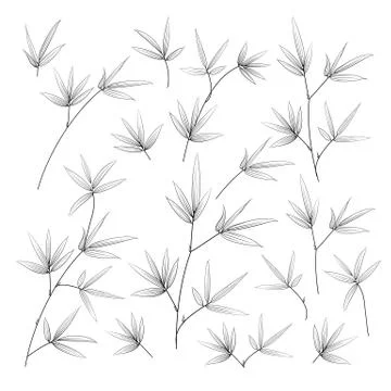 Set of tropical bamboo elements. Collection of palm leaves on a white background Stock Illustration
