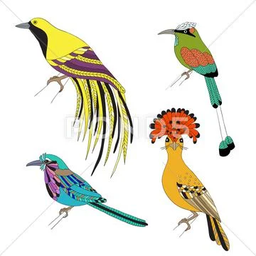Set Of Tropical Birds Hand Draw On A White Background