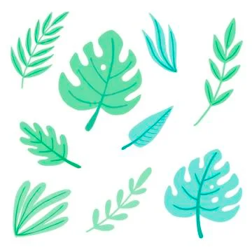 Set of tropical exotic summer leaf. Jungle leaf of trendy style. Vector Stock Illustration