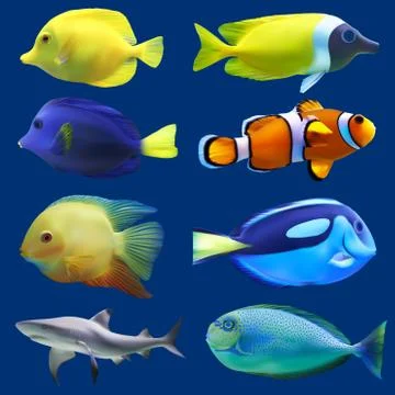 Set of tropical fish Illustrazione stock
