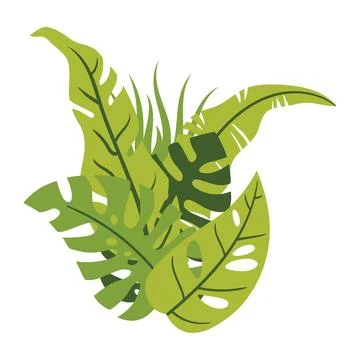 Set of tropical leaf still life composition isolated on white, in cartoon f.. Stock Illustration