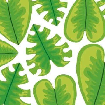 Set of tropical leafs plants pattern background Stock Illustration