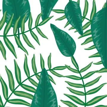 Set of tropical leafs plants pattern background イラスト素材