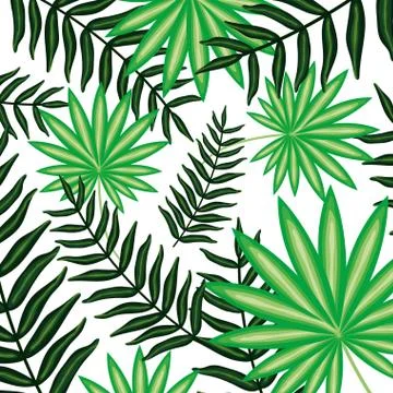 Set of tropical leafs plants pattern background Stock Illustration