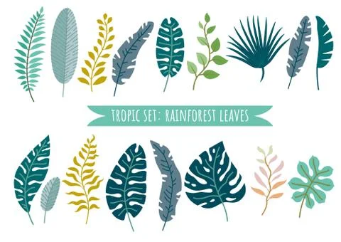 Set of tropical leaves. Vector rainforest leaves Stock Illustration