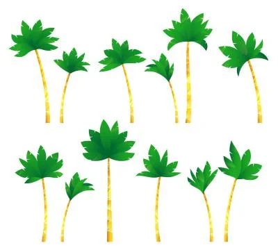 Set tropical palm trees . 스톡 일러스트
