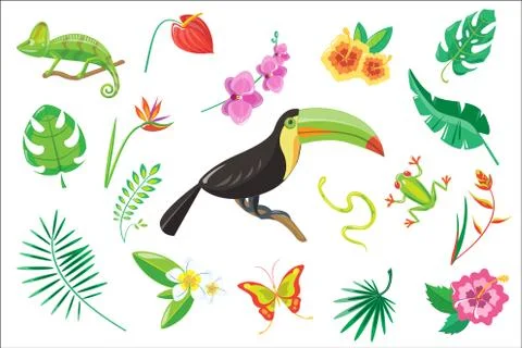 Set of tropical summer elements, flowers, toucan, palm leaves, frog, snake Stock Illustration