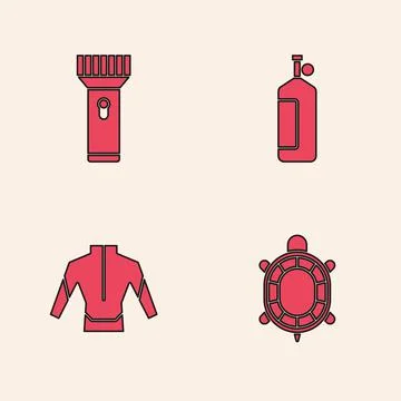 Set Turtle, Flashlight, Aqualung and Wetsuit icon. Vector Stock Illustration