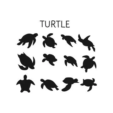 SET Turtle Sillothe Stock Illustration