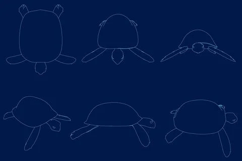 Set of turtles blue contour. Vector illustration Stock Illustration
