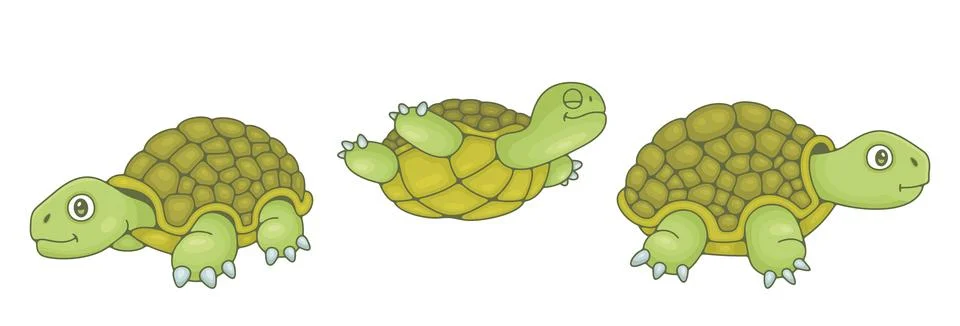 Set of Turtles Stock Illustration