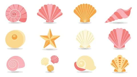 Set of twelve beautiful seashells of different shapes, sizes, and colors on.. Illustrazione stock