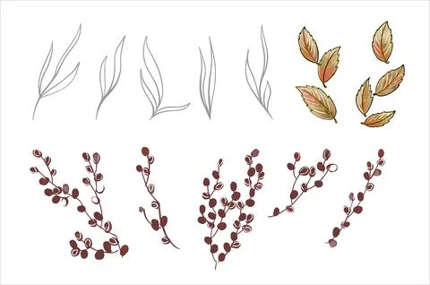 A set of twigs and leaves, spring and autumn. For the design of invitations Stock Illustration