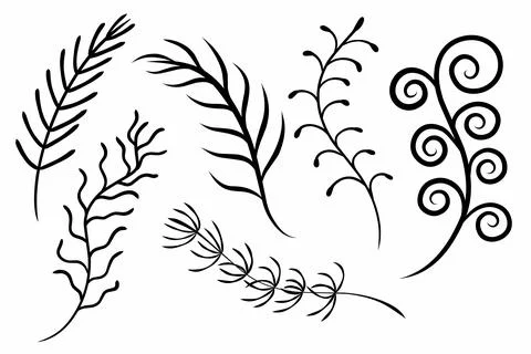 Set twigs black outline Stock Illustration