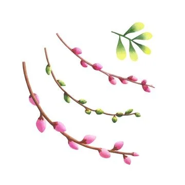 Set of twigs isolated on white background. Watercolor hand drawn illustration Stock Illustration