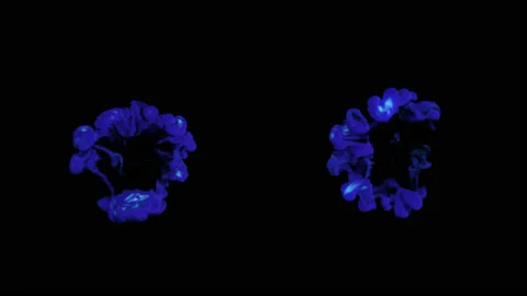 Set of two Chemical Powder explosion on alpha channel background. Stock Footage 132364166