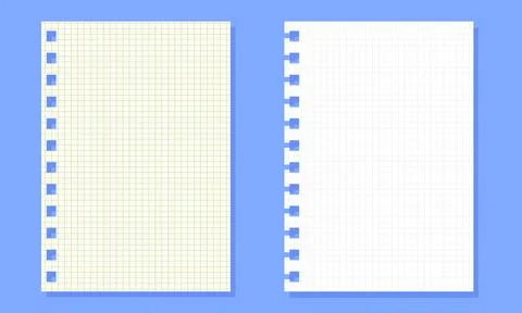 Set of Two Digital Notebook Pages with Grid and Lined Paper Textures Stock Illustration