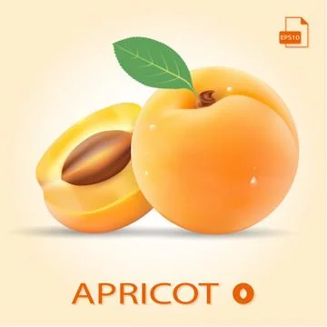 Set Of Two Fresh Apricots With Leaf. Stock Illustration