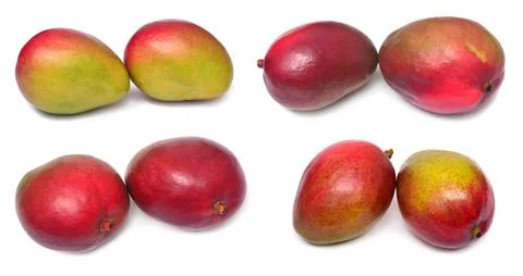 Set of two fresh mango fruit isolated on white background. Flat lay, top view Stock Photos
