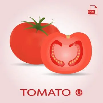 Set Of Two Fresh Ripe And Sliced Tomatos. Stock Illustration