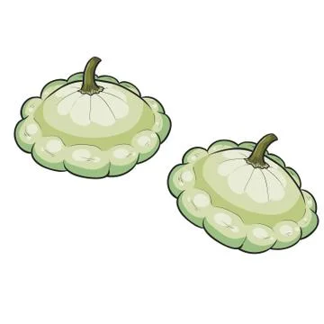 Set of two green squash, cartoon illustration, isolated object on white backg イラスト素材